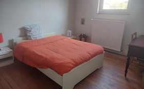 Brussels Guesthouse - Private Bedroom And Bathroom